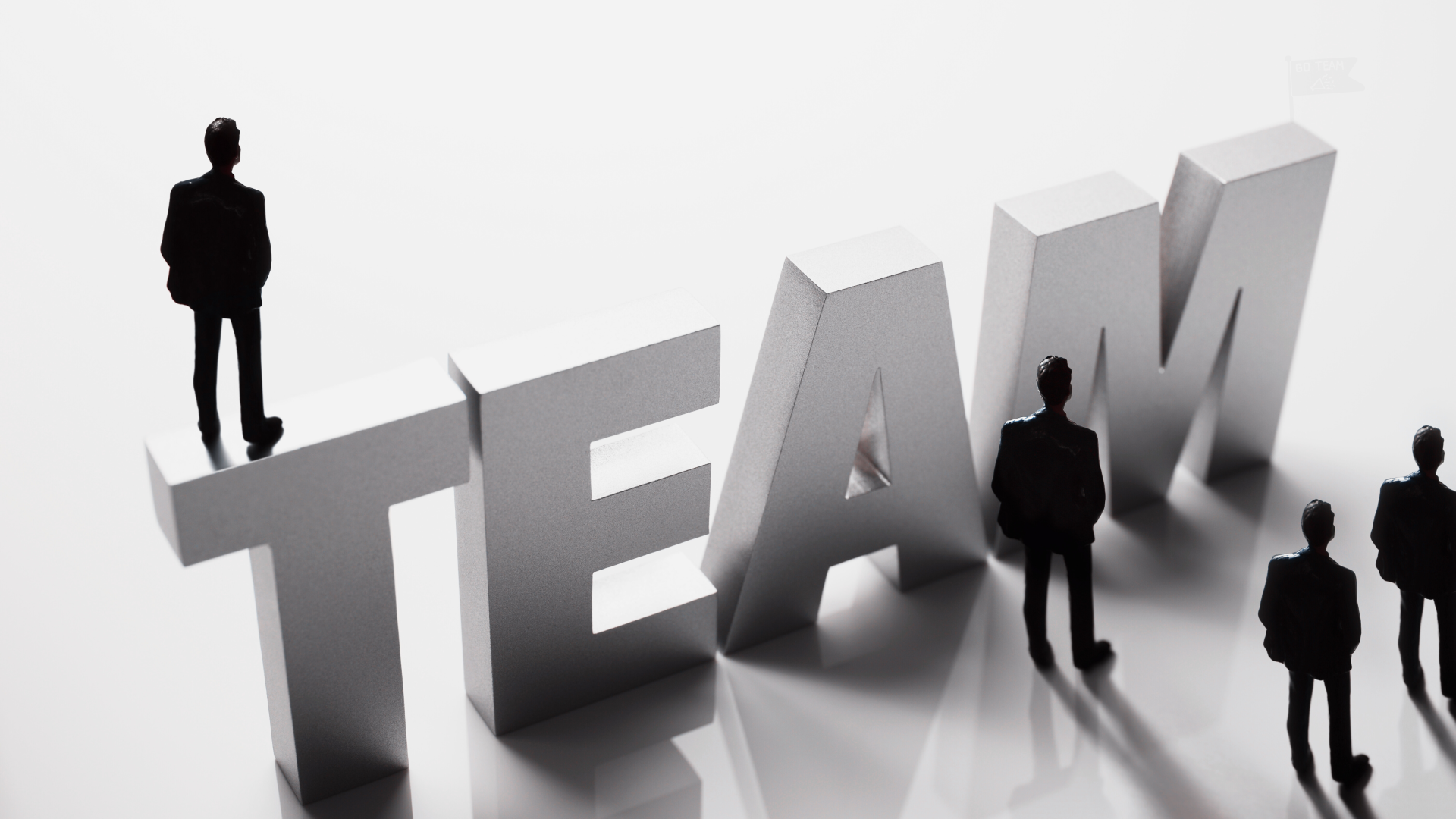 The Team that set the standards